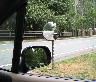 Convex Traffic Mirror